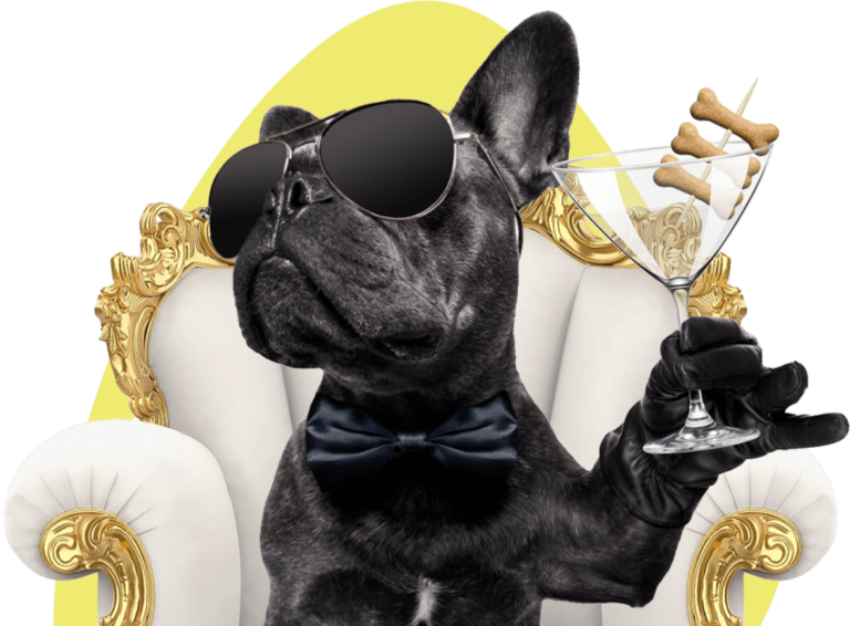 Чорний бульдог у краватці та окулярах тримає в руці келих з кісточками