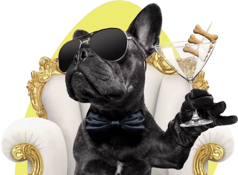 Чорний бульдог у краватці та окулярах тримає в руці келих з кісточками