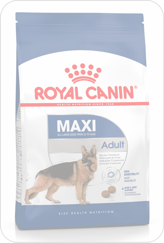 Синьо-біла упаковка корму з червоною емблемою для дорослих собак великих порід