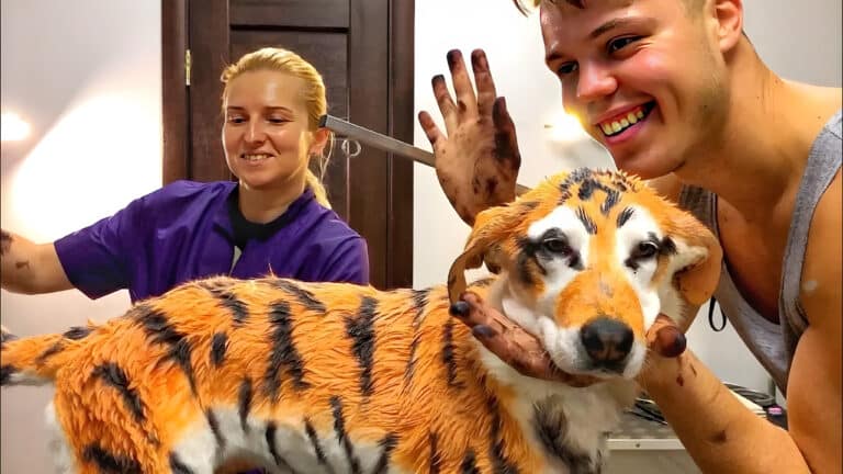 Грумерка в фіолетовій формі та хлопець у майці вимазані у чорний колір після фарбування коргі у тигра