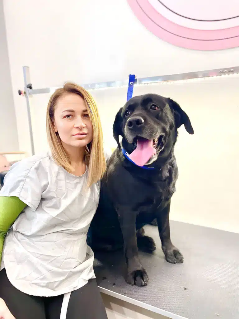 Дівчина в сірому фартусі позує з великим чорним собакою на синій ринговці, прикріпленій до грумерського стола