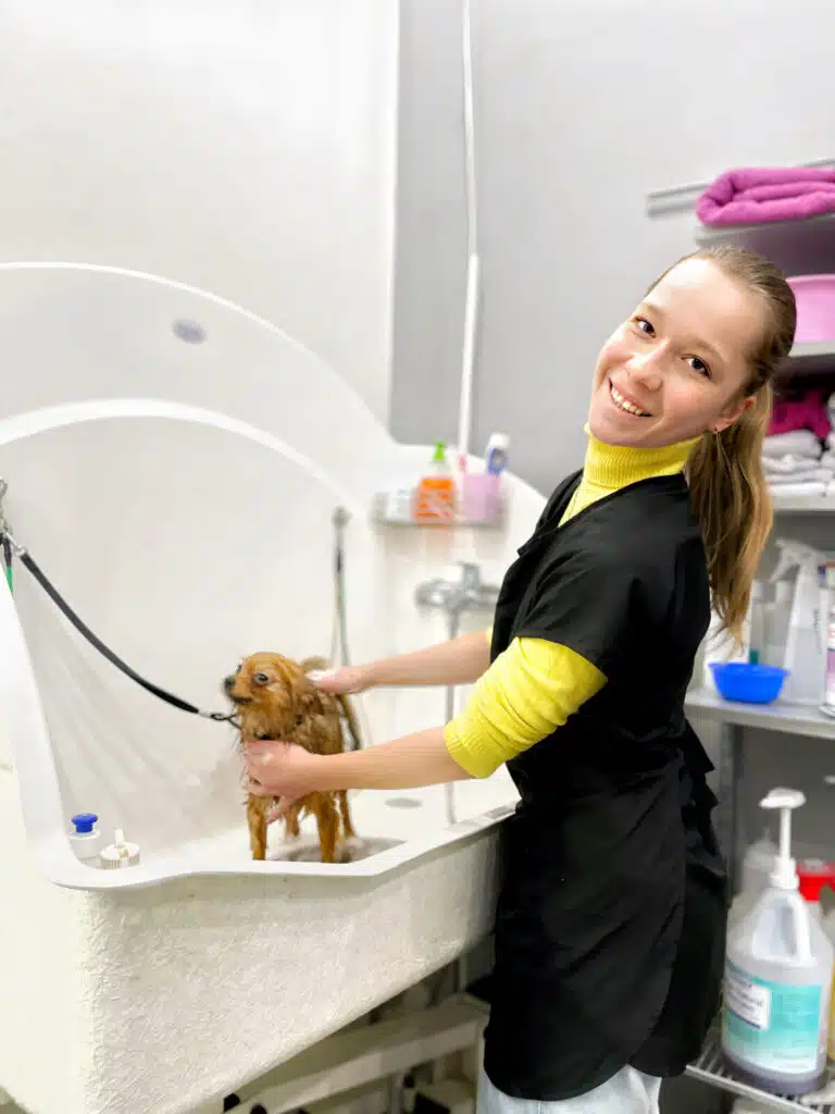 Дівчина в жовтому гольфі та чорному фартусі тримає у ванні мокрого йорка на ринговці