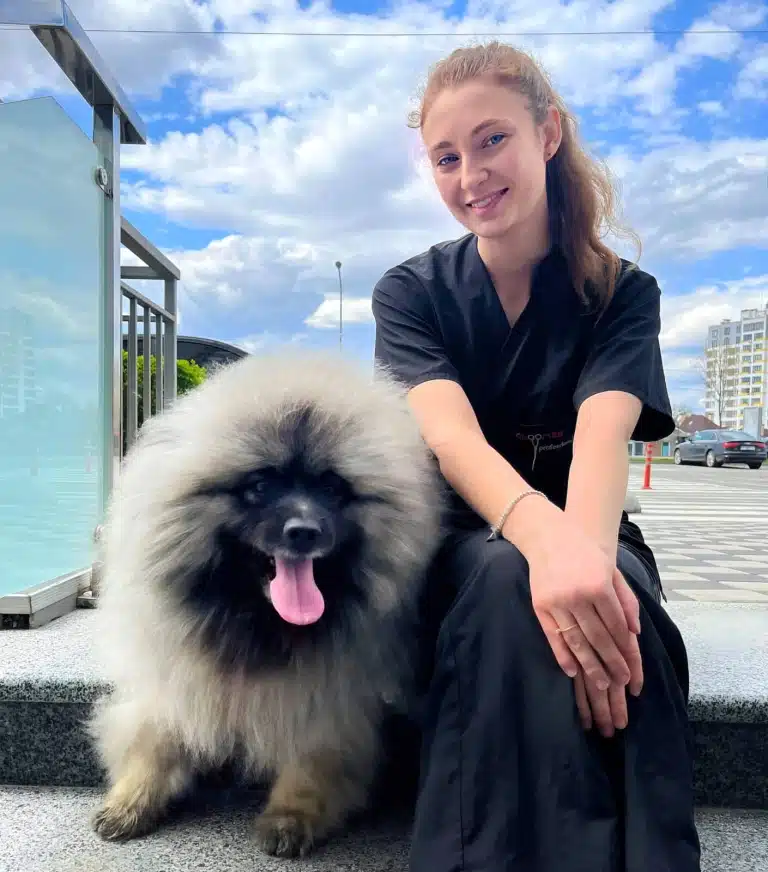 Дівчина з хвостиком та вольфшпіц сидять на сходах перед стоянкою