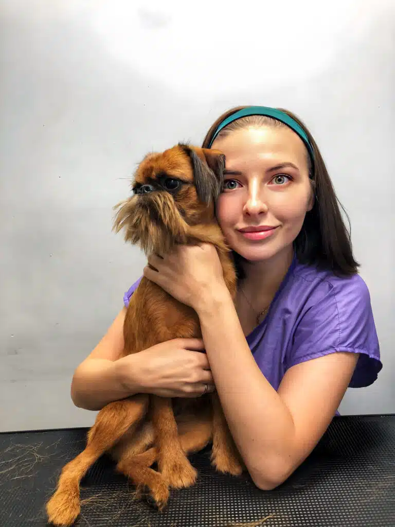 Дівчина з бірюзовим обідком на голові присіла перед чорним столом та обійняла коричневого грифона після тримінгу