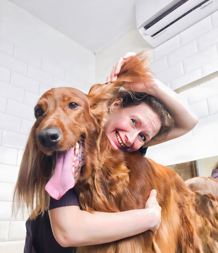 Грумерка підняла вушко кокер-спанієля та визирає з-під нього з посмішкою