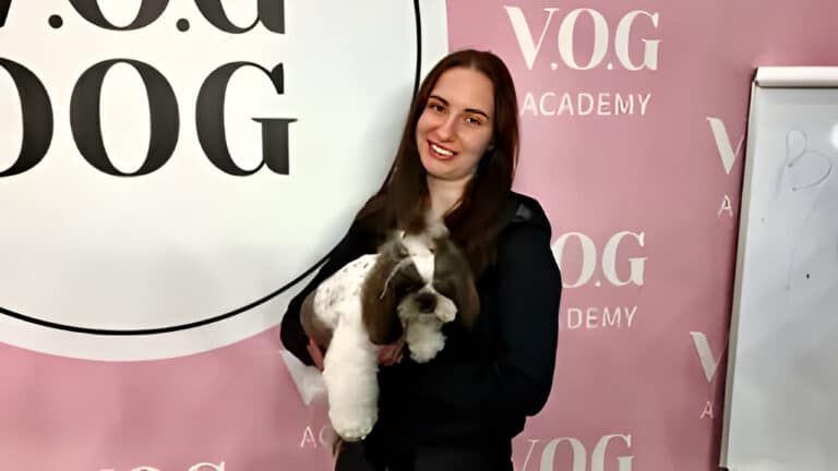 Дівчина в чорному одязі тримає на руках підстриженого ши-цу з хвостиками на голові