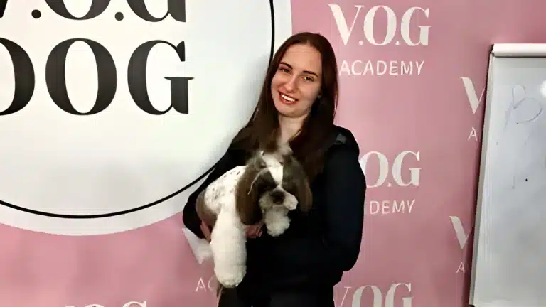 Дівчина в чорному одязі тримає на руках підстриженого ши-цу з хвостиками на голові