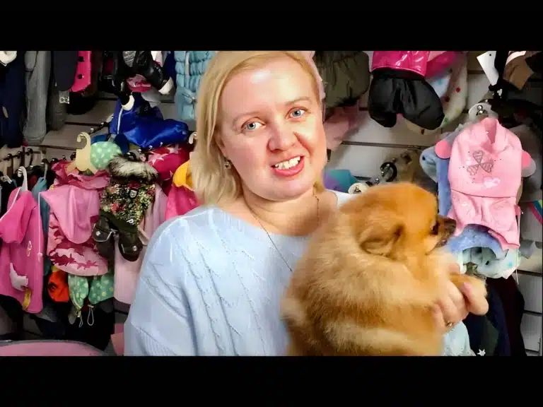 Дівчина в блакитному светрі тримає за передні лапки шпіца, який дивиться в бік одягу, що розвішаний на стіні