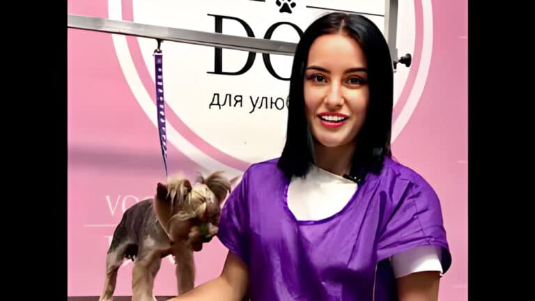 Чорноволоса дівчина у білій футболці та фіолетовій накидці стоїть поруч з йорком, якому зробили зачіску