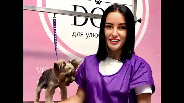 Чорноволоса дівчина у білій футболці та фіолетовій накидці стоїть поруч з йорком, якому зробили зачіску