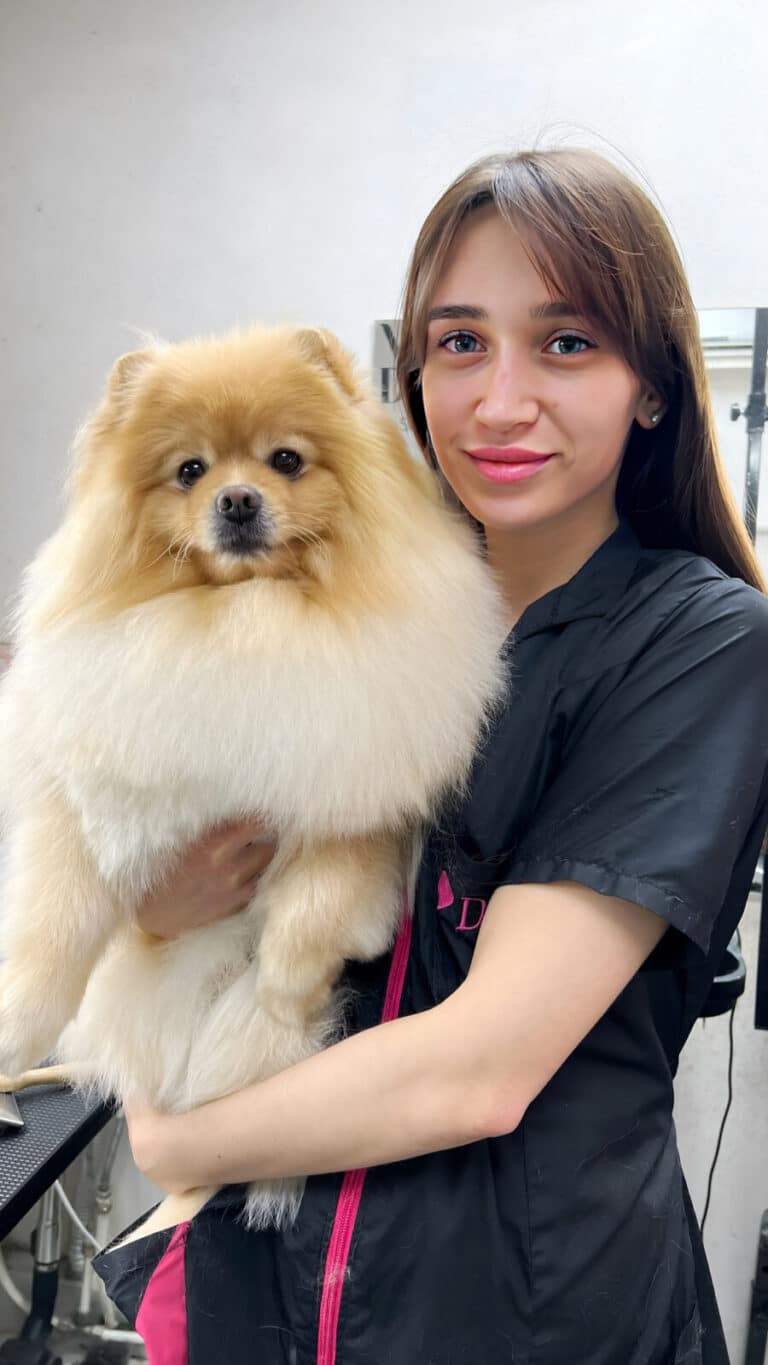 Дівчина в чорній формі з рожевою блискавкою тримає в руках пухнастого рудого шпіца, який дивиться прямо в камеру