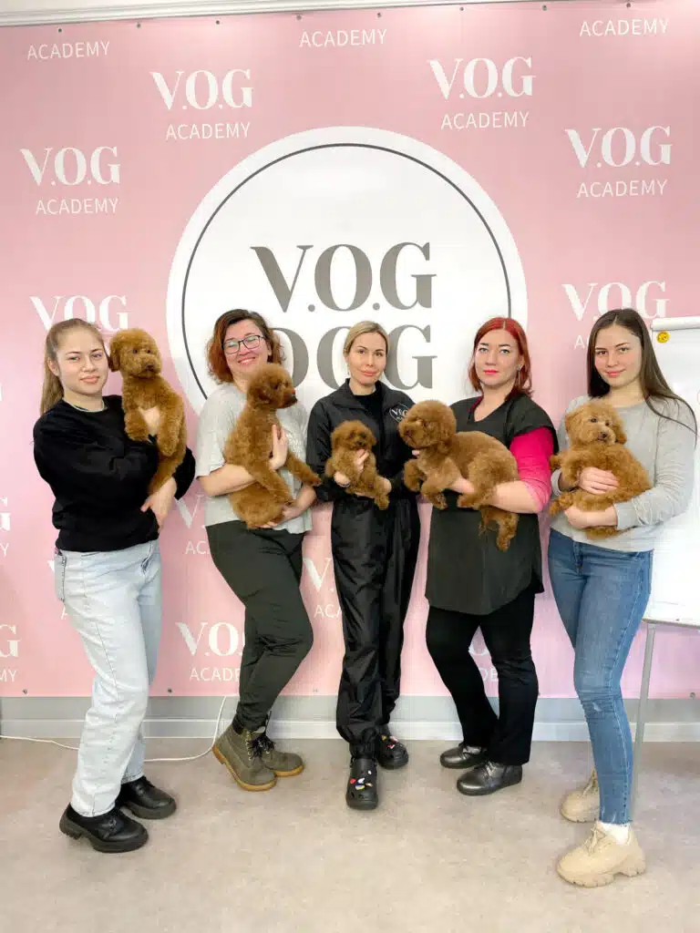 П'ять дівчат тримають на руках коричневих мальтіпу різного розміру