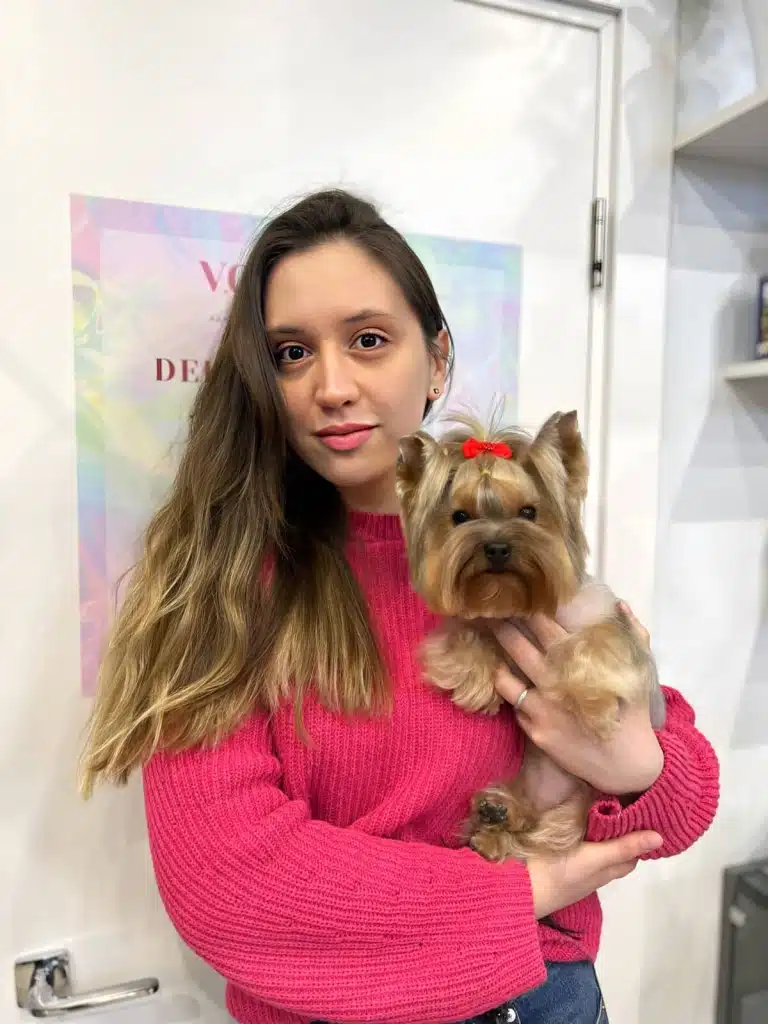 Йорк з червоним метеликом на голові сидить на руках дівчини, яка одягнула для фото рожевий светр