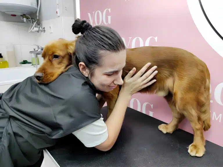 Дівчина з гулькою на голові підставила ліве плече під голову кокер-спанієля, який зручно там вмостився