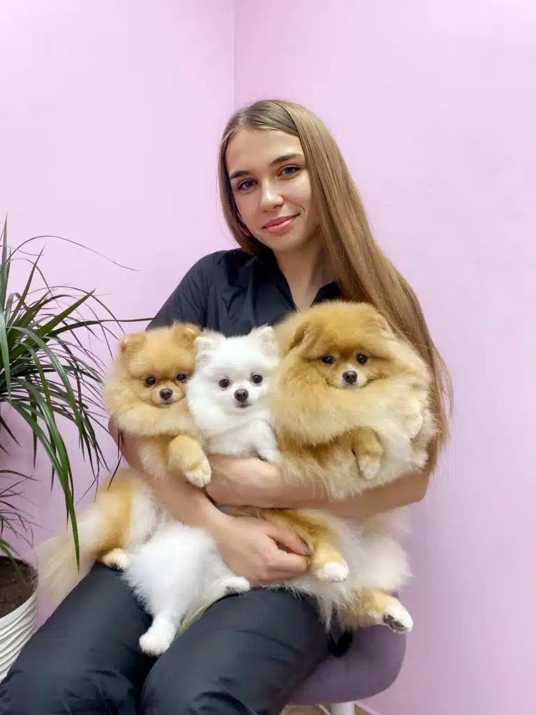 В кутку рожевої кімнати на фіолетовому стільці сидить дівчина з трьома підстриженими шпіцами