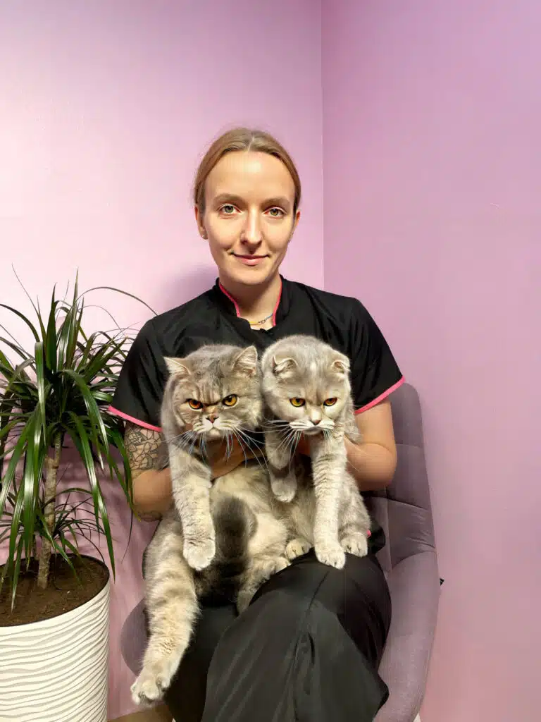 Дівчина сидить біля вазона на лавандовому стільці, тримаючи в руках двох котів