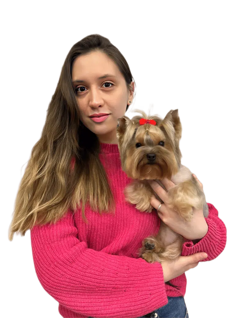 Дівчина в рожевому светрі тримає в руках маленького йорка з червоним бантиком на голові