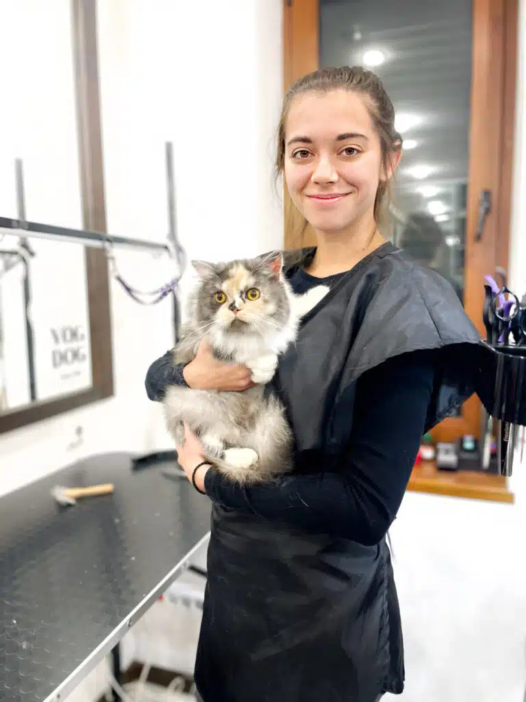 Кіт з жовтими очима та різноколірною шерстю сидить в руках задоволеної дівчини в чорній формі