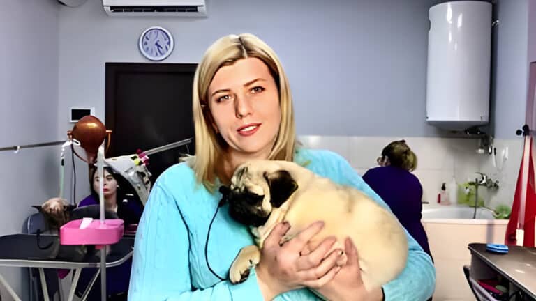 Дівчина зі світлим волоссям тримає в руках мопса, а за спиною працюють грумери