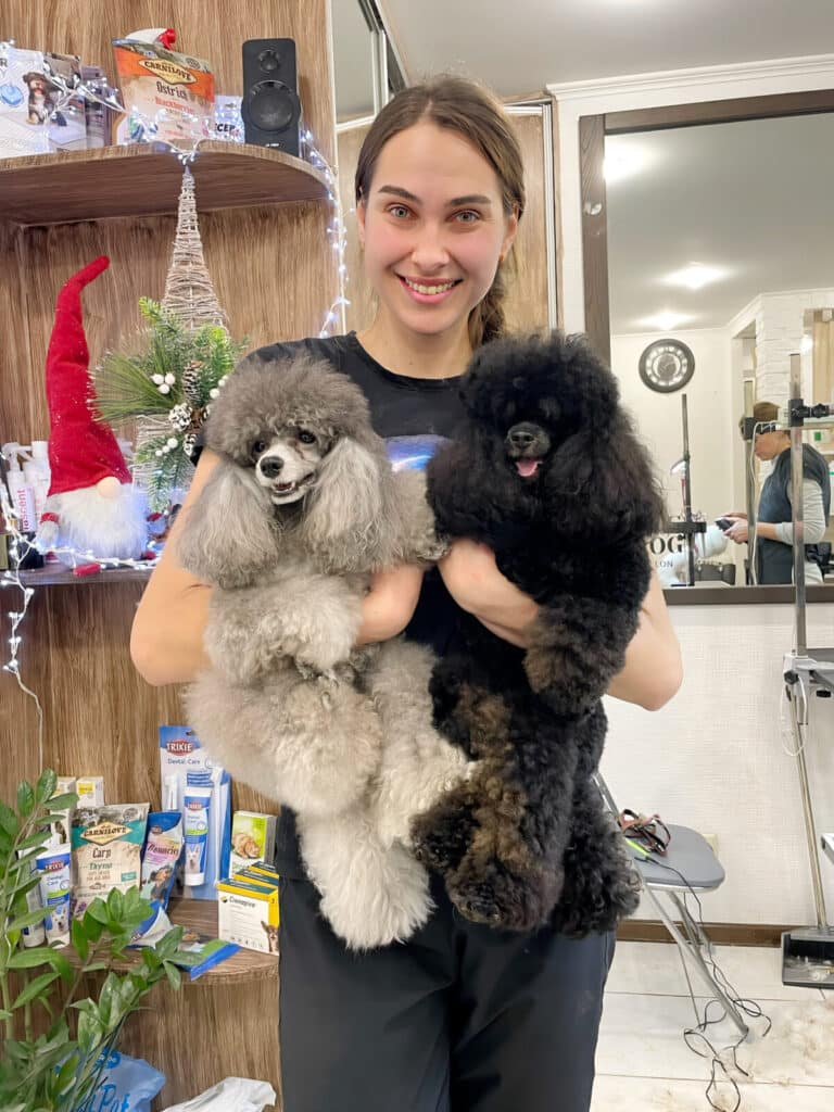 Дівчина з косою тримає в лівій руці чорного пуделя, а в правій - сірого