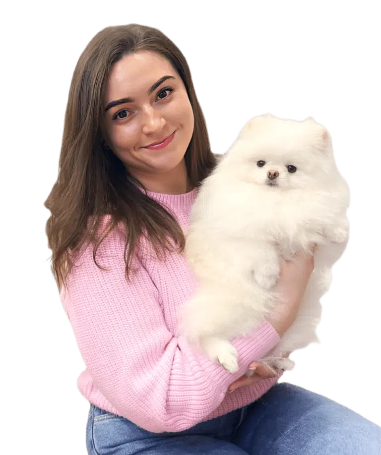 Дівчина в рожевому светрі задоволено тримає в руці маленького білого шпіца з дуже густою шерстю