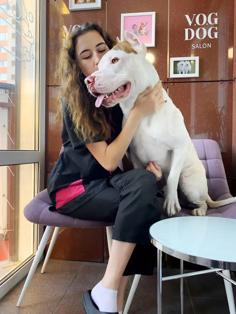 Дівчина в білих шкарпетках цілує перед вікном великого гладкошерстого собаку білого забарвлення