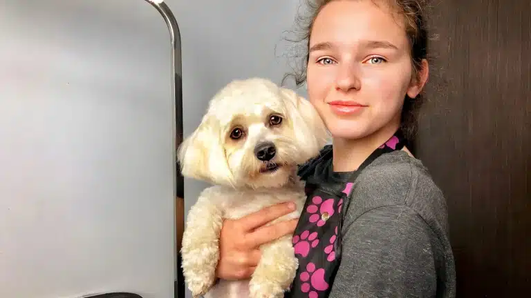 Маленька дівчина в чорному фартусі з рожевими лапками тримає в руках кремового мальтіпу з коричневими очима