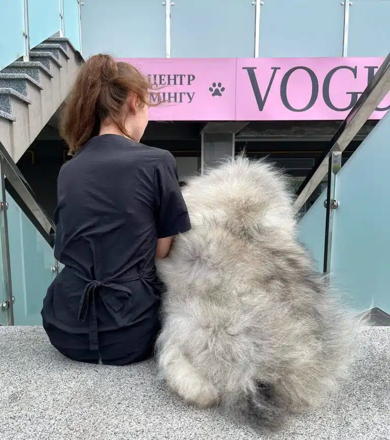 Грумерка в чорній формі та великий пухнастий пес сидять на початку сходів до Центру грумінгу