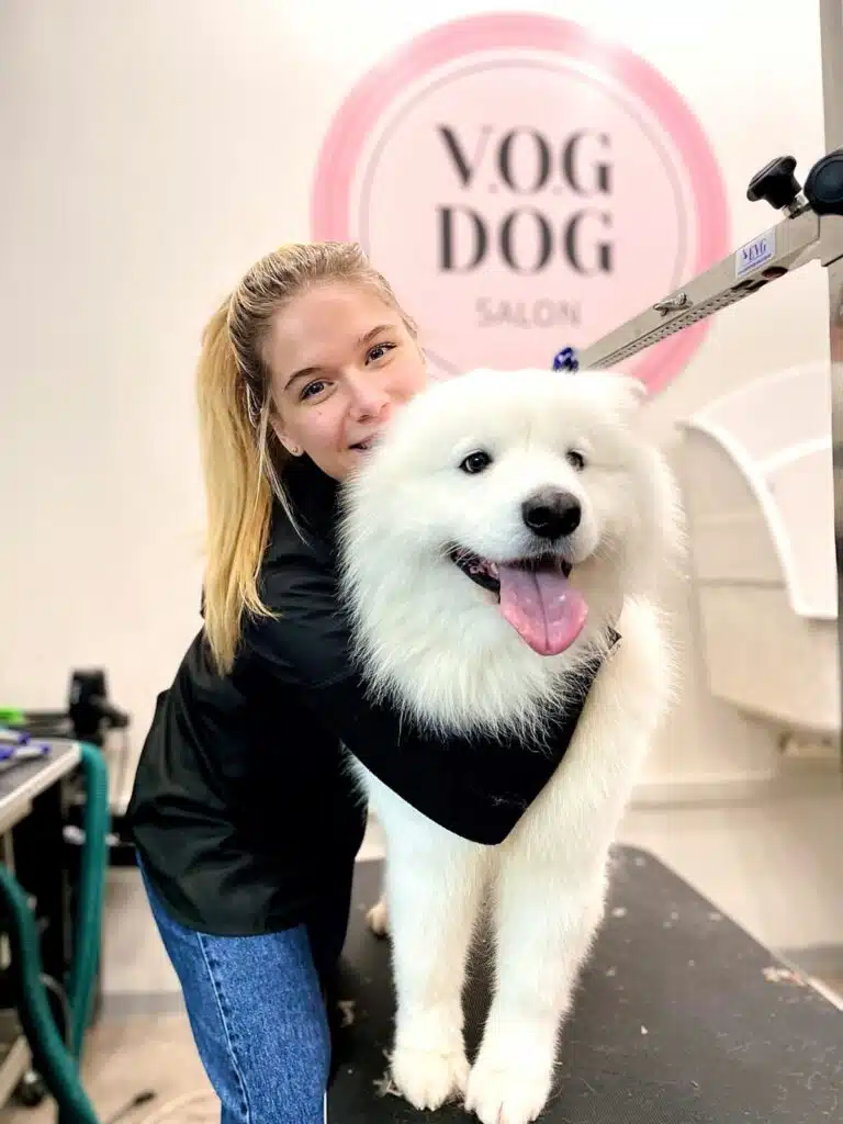 Дівчина в чорній кофті та синіх джинсах обіймається з самоїдом, який знаходиться на грумерському столі