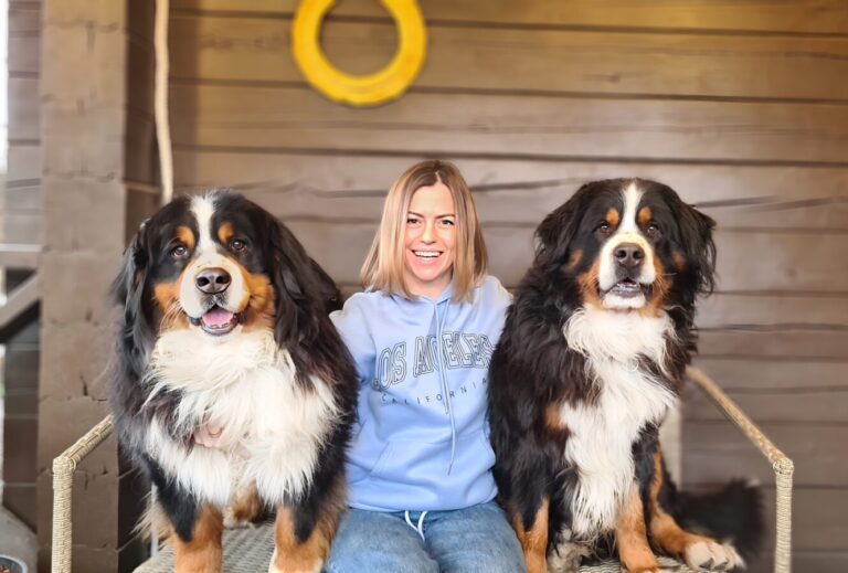 Дівчина щаслива, що має з двох сторін гарних бернських зенненхундів