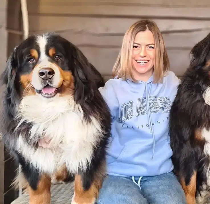 Бернський зенненхунд сидить на дивані з дівчиною в блакитному худі та джинсах