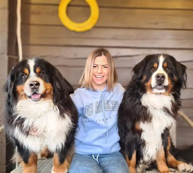 Бернські зенненхунди сіли по обидва боки від дівчини з каре, яка вдягнула джинси та блакитне худі