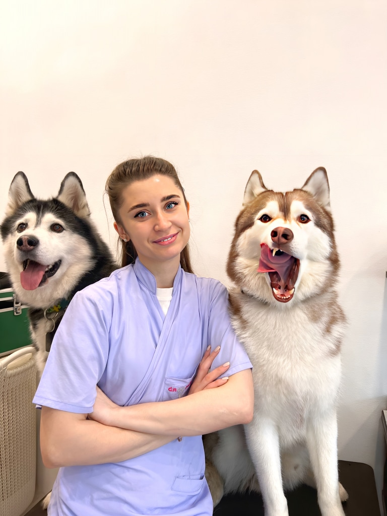 Дівчина склала руки на грудях, сидячи між двома хаскі різного забарвлення