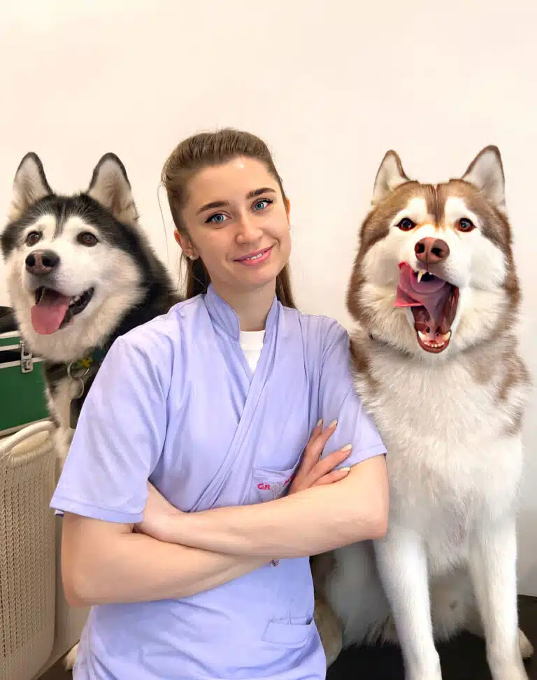 Дівчина склала руки на грудях, сидячи між двома хаскі різного забарвлення