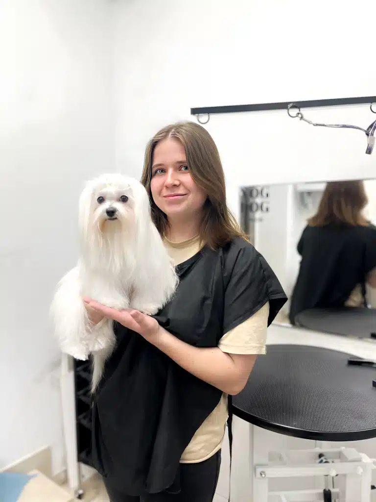 Білий довгошерстий мальтезе сидить на ручках дівчини, яка стоїть спиною до стола з дзеркалом