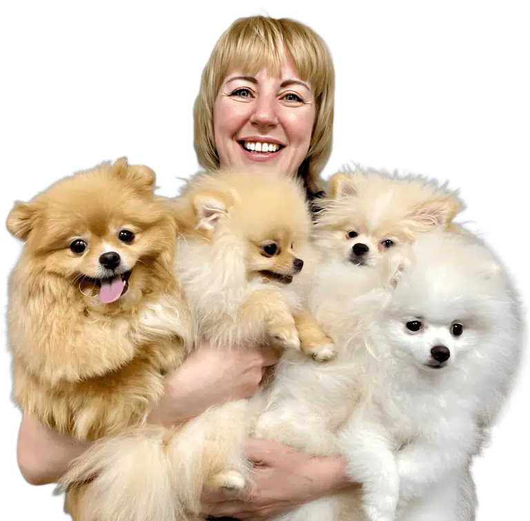 Дівчина зі світлим чубчиком широко всміхається, тримаючи на руках чотирьох шпіців