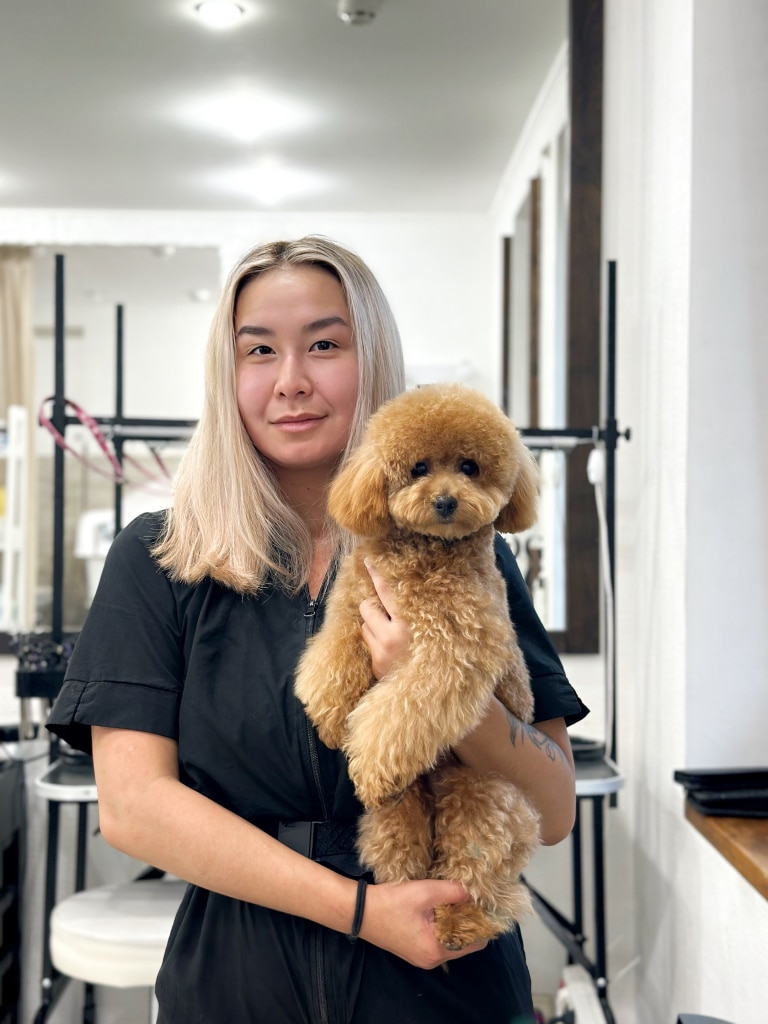 Мальтіпу впирається задніми лапами в руку грумерки з білим волоссям