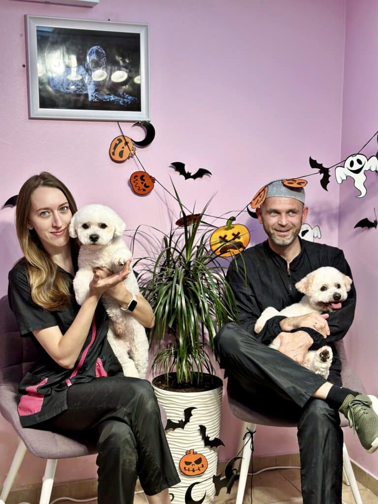 Грумер та грумерка сидять з собаками на руках в кімнаті, прикрашеній до Хелловіну