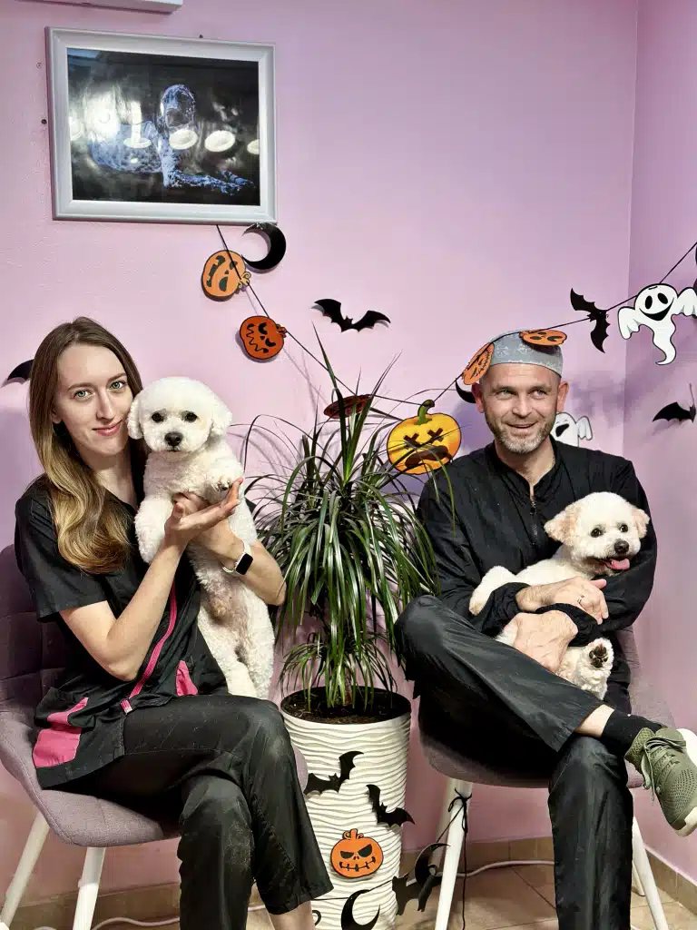 Грумер та грумерка сидять з собаками на руках в кімнаті, прикрашеній до Хелловіну