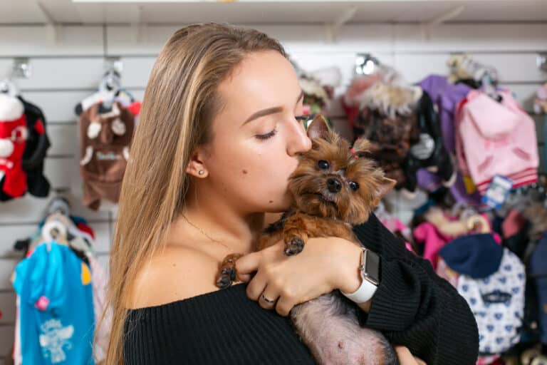 Дівчина з нафарбованими бровами цілує у щічку йорка з короткою шерстю