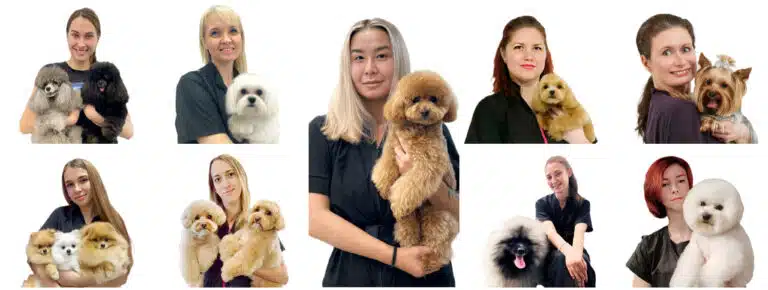 Грумери різного віку тримають на руках улюблену породу собак