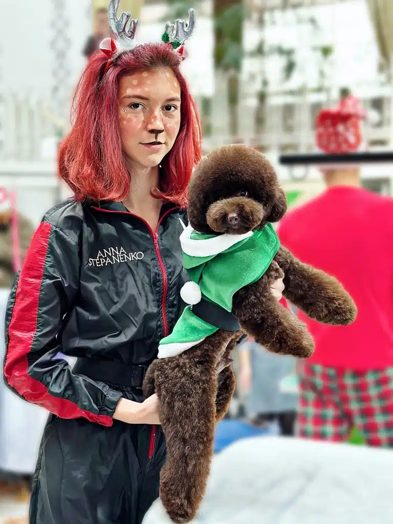 Мальтіпу піднятий на задні лапи дівчиною в грумерській формі та новорічним образом