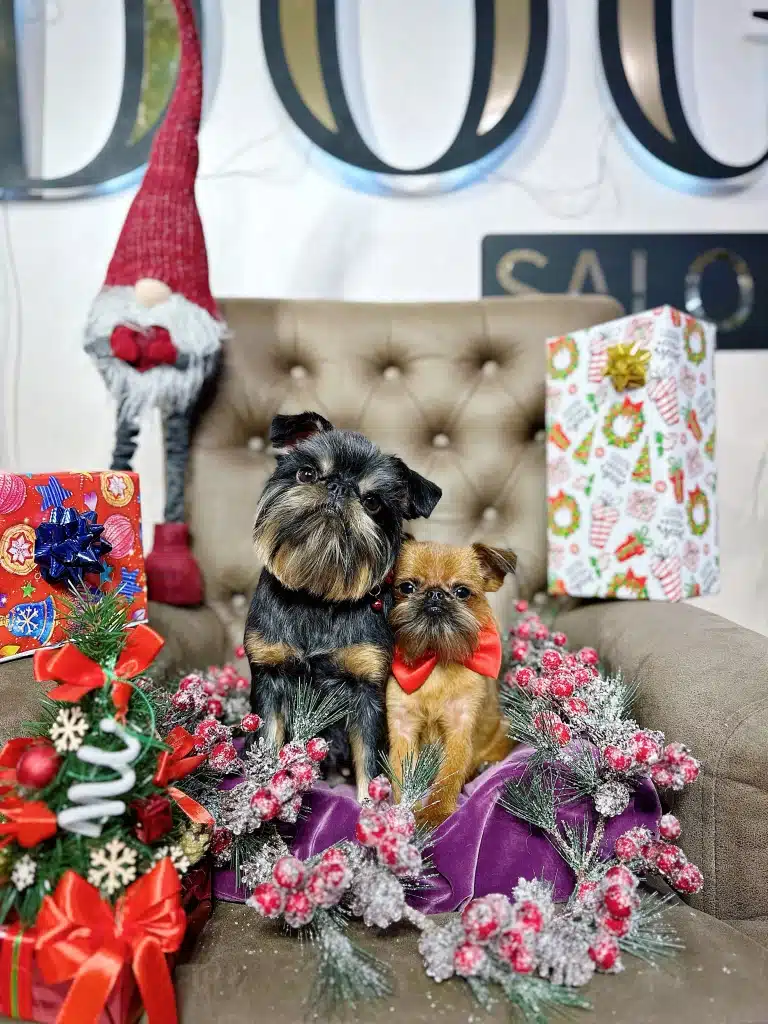 Посеред різдвяного реквізиту з подарунками нахилились один до одного два грифони