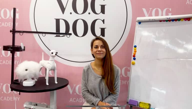 Дівчина в сірій кофтинці сидить біля магнітної дошки та моделдога