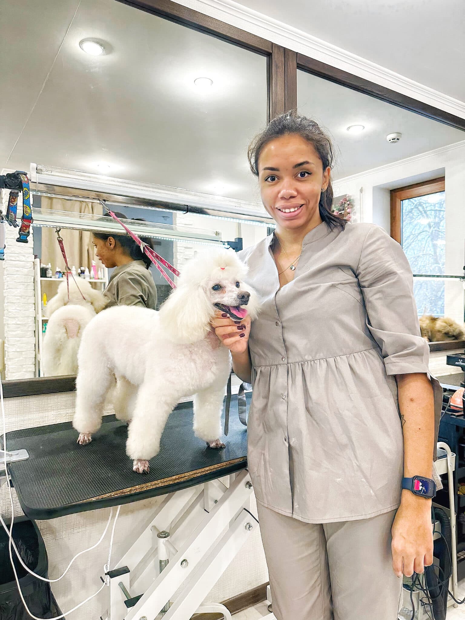 Той-пудель - груминг салон V.O.G DOG