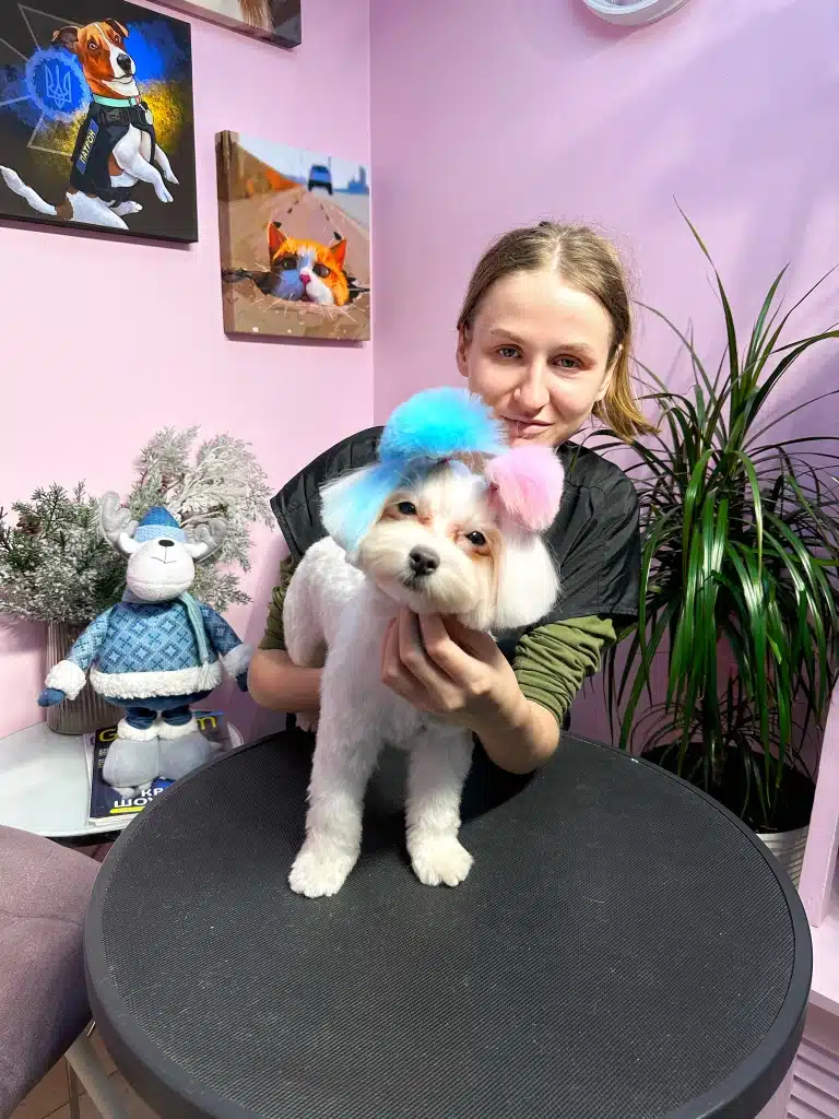 Дівчина в зеленій кофті та чорному фартусі показує стрижку мальтіпу та пофарбовані в блакитний та рожевий кольори хвостики