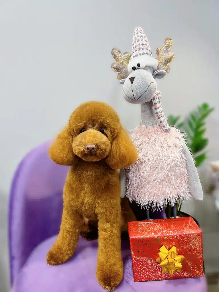 Мальтіпу з різдвяним оленем позують на фіолетовому стільці в білій кімнаті