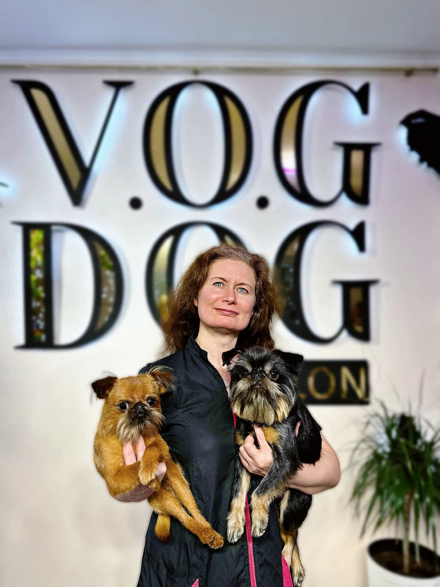 Параанальные железы и необходимость ухода за ними - V.O.G DOG