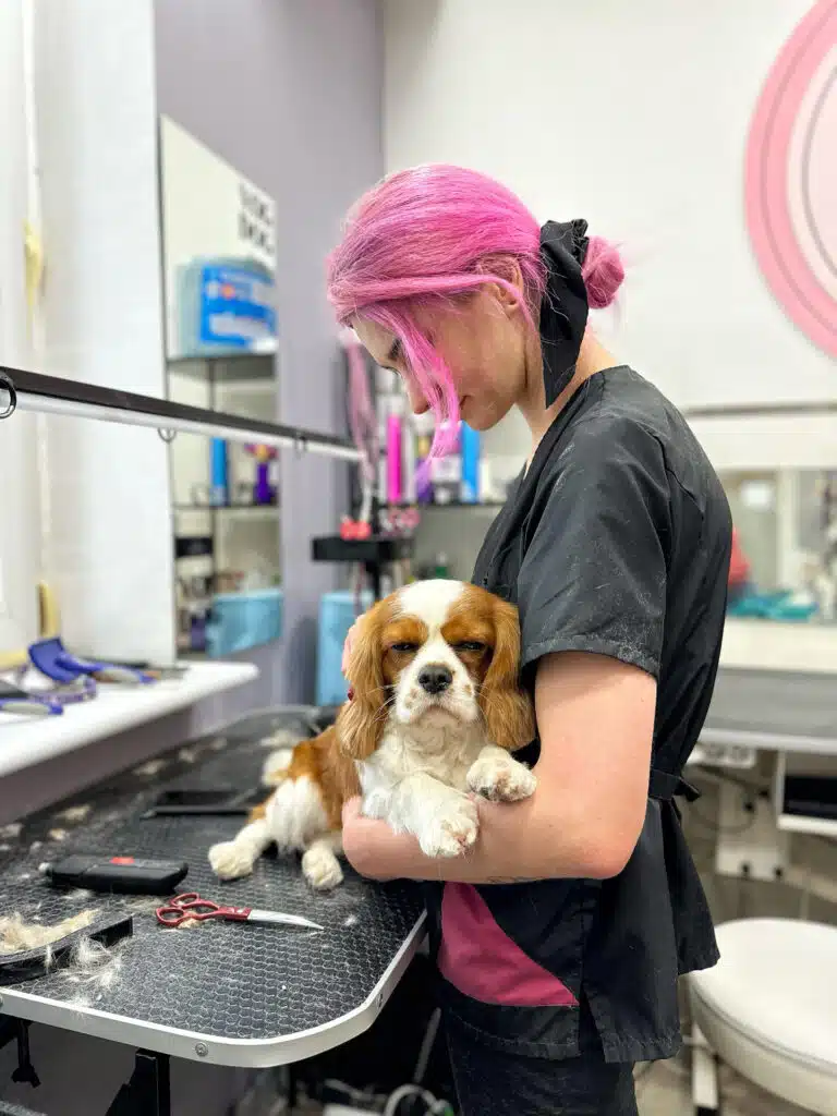 Грумер з рожевим волоссям обіймає спанієля, який задніми лапами лежить на столі