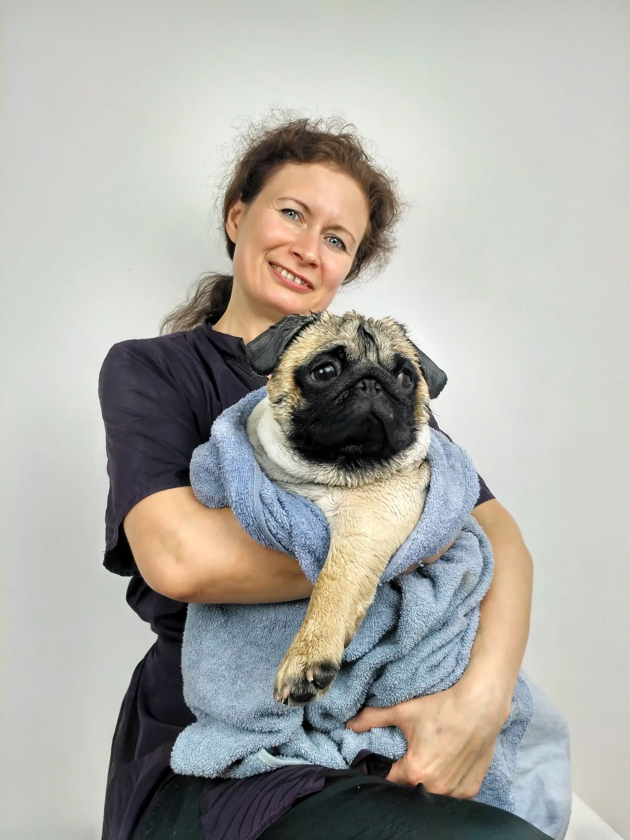 Грумер з пухнастим волоссям тримає в блакитному рушнику мокрого мопса